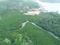 Desa Batu Ampar Kembangkan Wisata Mangrove, Oktober Ini Akan Diresmikan Menteri Desa PDTT