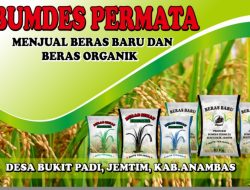 Bumdes Permata Desa Bukit Padi Siap Pasarkan Beras Petani Lokal