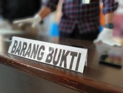 Amankan Pelaku Ilegal Logging Hutan Lindung Aceh, Petugas TNGL Diserang