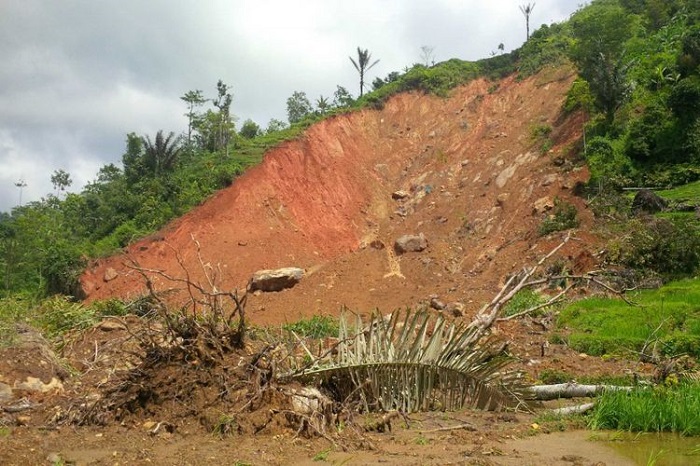 Tanah Longsor di Karo Sumut, Korban 1 Orang Tewas dan 3 Belum Ditemukan