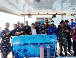 Peduli Ekosistem Bawah Laut, Wabup Anambas Pantau Artificial Reef