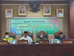 Paripurna HUT Anambas, Hasnidar : Semoga apa yang Diharapkan Dapat Terwujud