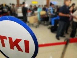 Waduh! Sebanyak 53 WNI Korban Investasi Palsu Disekap di Kamboja