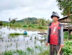 Air Sungai Meluap, Petani dan Pengrajin Mebel Merugi