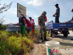 Waduh..!! Buaya Liar Kembali Bermunculan