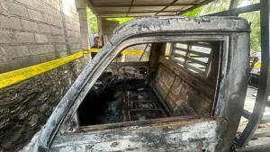Pemuda Di Buleleng Bakar Kandang Sapi Mobil Ortu Pacar Karena Cinta Ditolak
