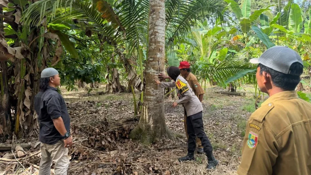 Beruang Masuk Kebun Di Lampung Petani Panik Polisi Langsung Bertindak