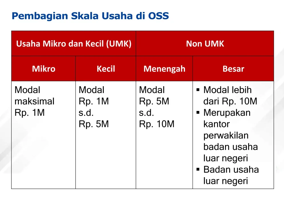 Apa Perbedaan Bisnis Skala Mikro Dan Kecil Panduan Komprehensif Untuk Pelaku Usaha