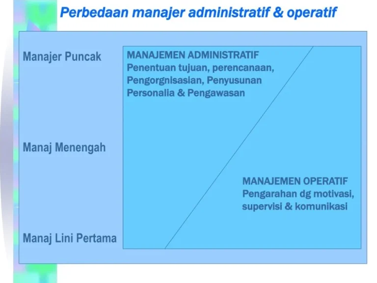 Apa Perbedaan Manajer Fungsional Dan Manajer Umum Panduan Lengkap Struktur Kepemimpinan Bisnis
