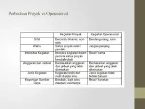 Memahami Perbedaan Manajemen Proyek Dan Manajemen Operasional Untuk Efisiensi Bisnis