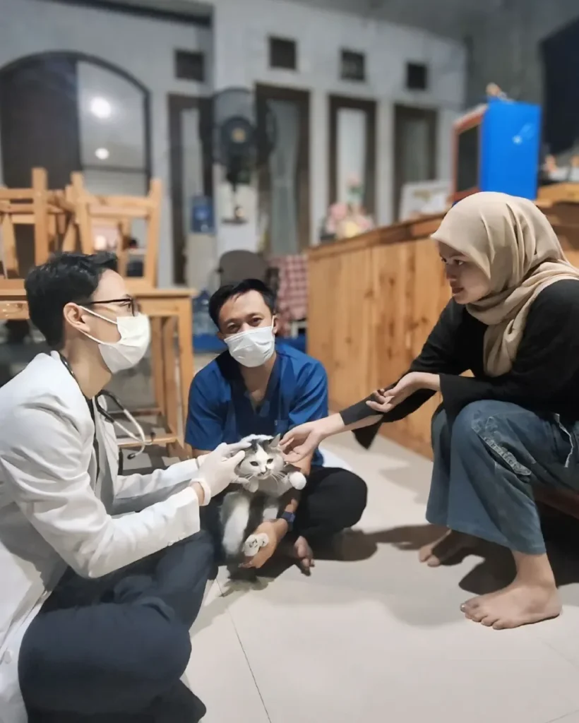 Menelisik Peluang Industri Pet Care Kenapa Bisnis Jasa Dokter Hewan Ramai Dan Berprospek Cerah