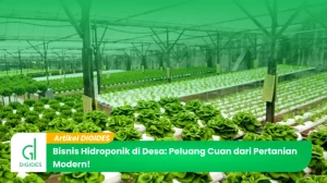 Mengapa Bisnis Agribisnis Hidroponik Sangat Untung Analisis Potensi Keuangan Dan Strategi Sukses
