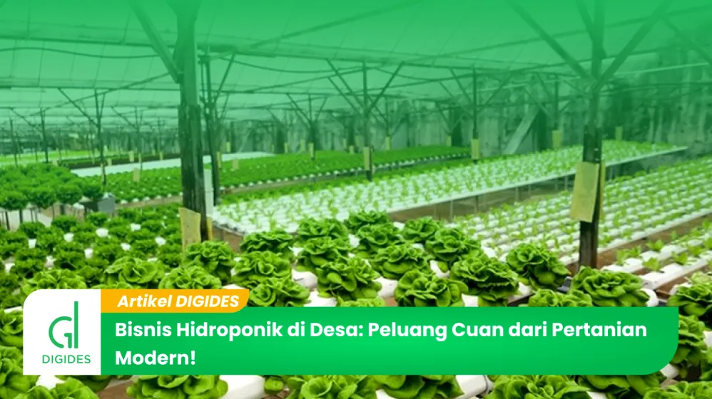 Mengapa Bisnis Agribisnis Hidroponik Sangat Untung Analisis Potensi Keuangan Dan Strategi Sukses