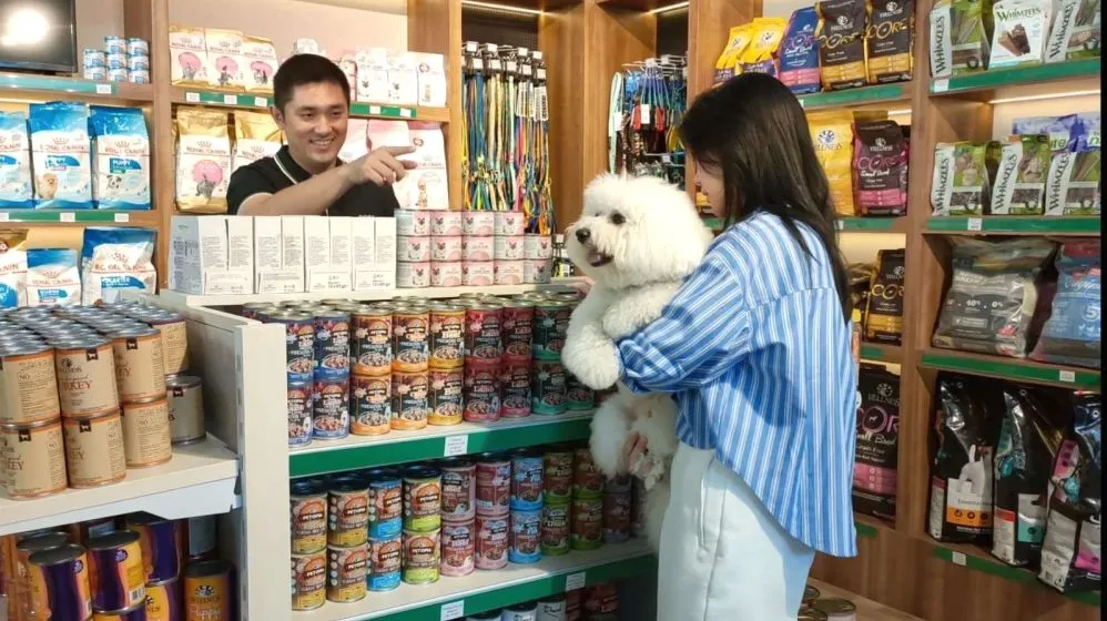 Mengapa Bisnis Jasa Pet Shop Semakin Ramai Analisis Peluang Risiko Dan Strategi Industri Perawatan Hewan
