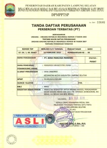 Panduan Lengkap Bagaimana Cara Mengurus Tanda Daftar Perusahaan Untuk Perizinan Usaha Anda