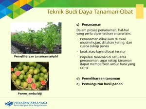 Panduan Perencanaan Keuangan Berapa Modal Awal Budidaya Tanaman Obat