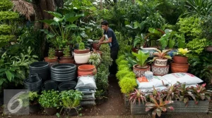 Peluang Agribisnis Herbal Mengapa Bisnis Agribisnis Tanaman Obat Sangat Untung Di Pasar Modern