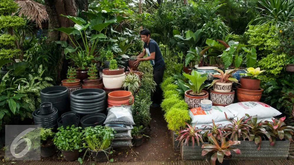 Peluang Agribisnis Herbal Mengapa Bisnis Agribisnis Tanaman Obat Sangat Untung Di Pasar Modern